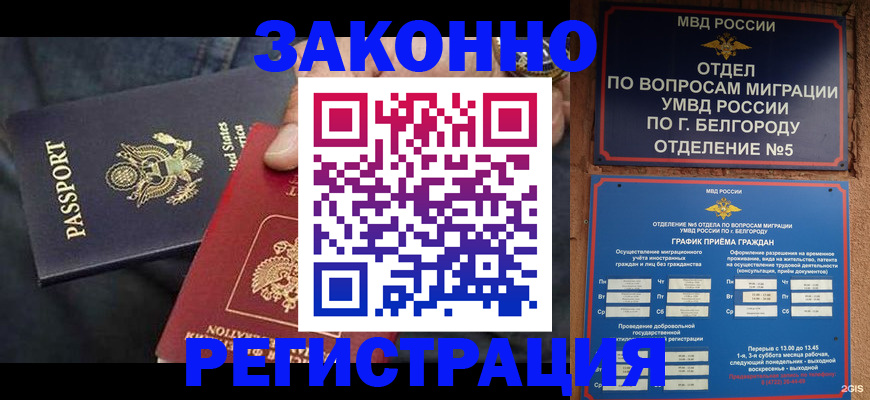 прописка законно в Моршанске